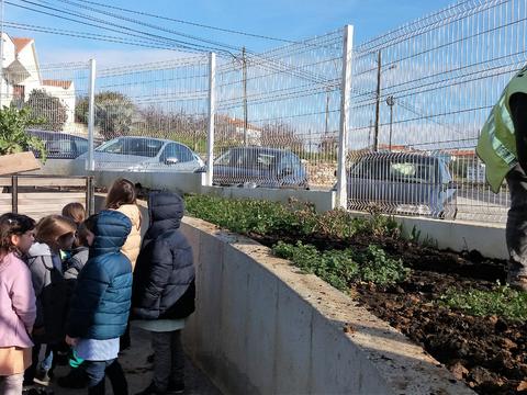 foto 3- jardineiros da câmara municipal, a preparar o terreno, adicionando terra fértil, com crianças do Jardim-de Infância a assistir